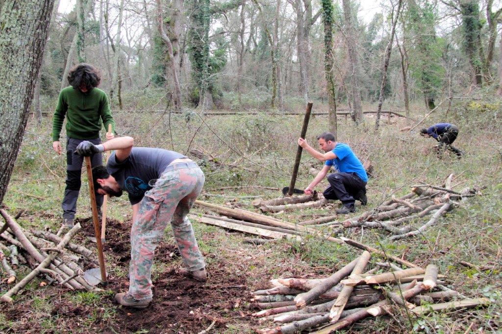 VOLONTANFIBI 2014: Parco Regionale MSRM